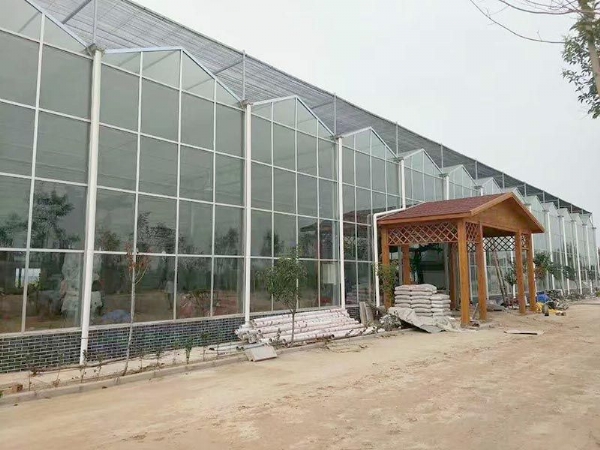 江西省贛州贛縣江口鎮(zhèn)，全玻璃溫室