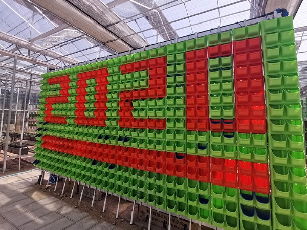 墻體水培 水培墻