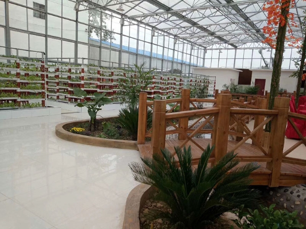 生態(tài)餐廳