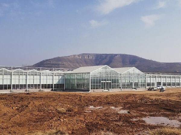 臨沂沂水工地